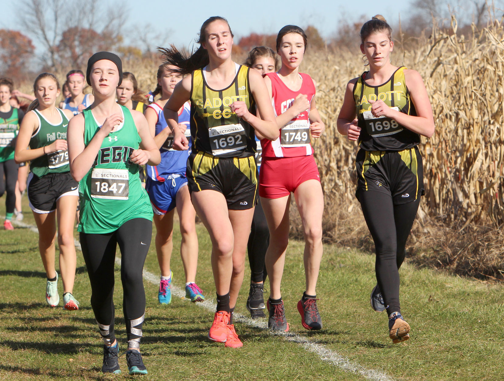 Division 3 Cross Country Sectionals in Boyceville 10-26-19